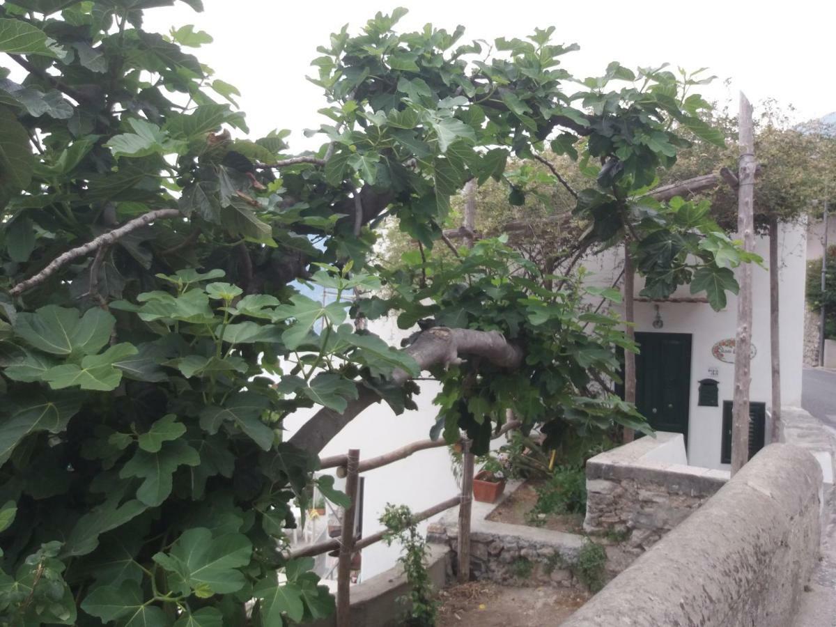 Casa Rosetta Villa Praiano Exterior photo